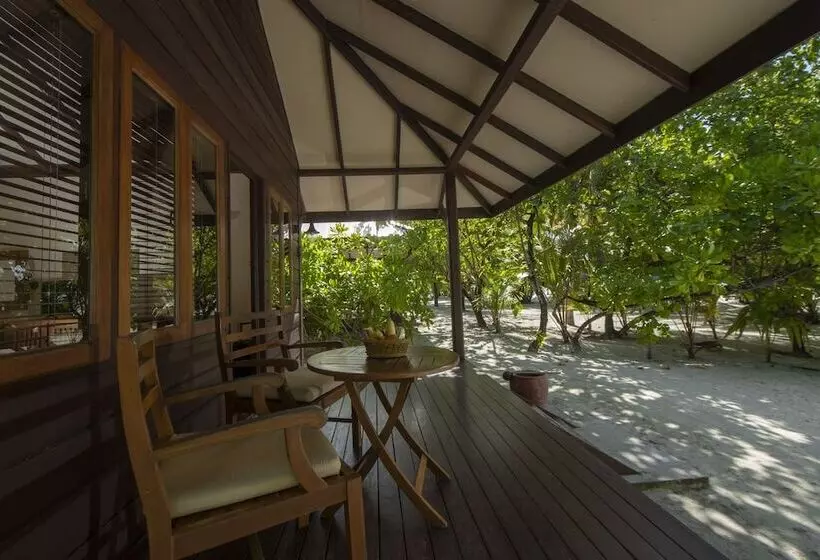 ویلای سوپریور 1 خوابه, Filitheyo Island Resort