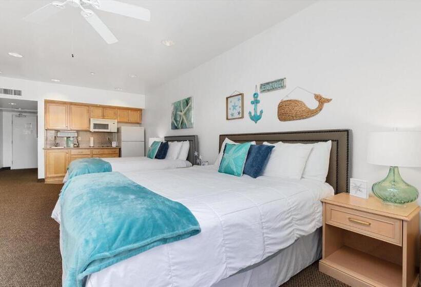 إستوديو قياسى مطل على البحر, Beach House Inn & Suites