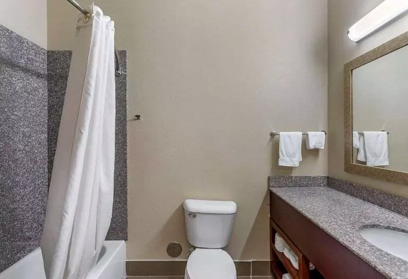 スイート, Comfort Inn & Suites Carbondale University Area