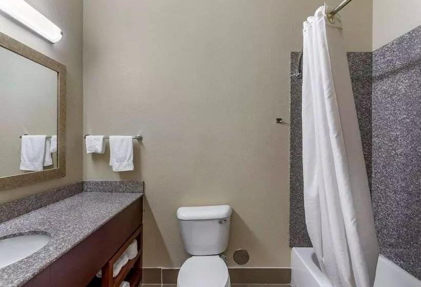 スイート, Comfort Inn & Suites Carbondale University Area