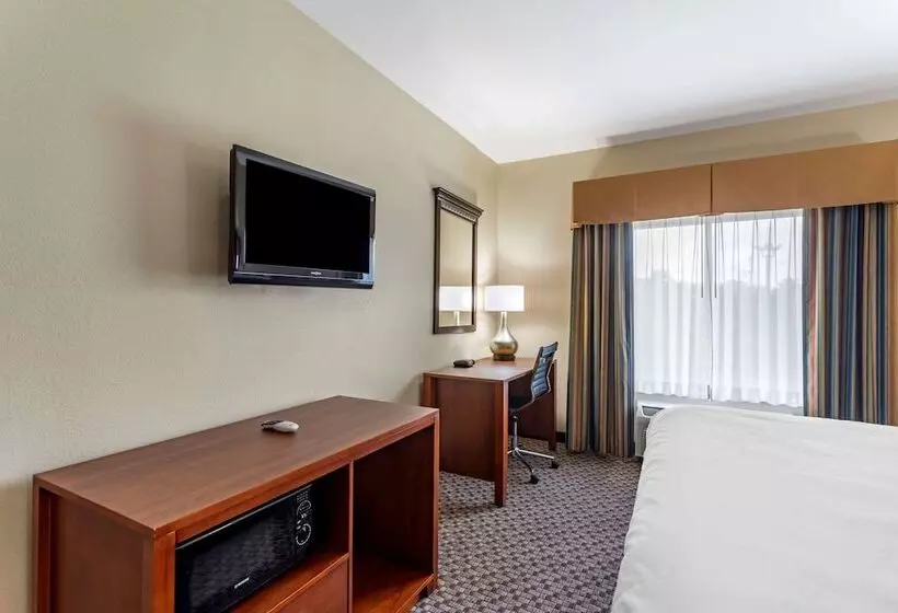 スイート, Comfort Inn & Suites Carbondale University Area
