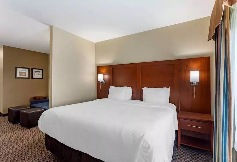 スイート, Comfort Inn & Suites Carbondale University Area
