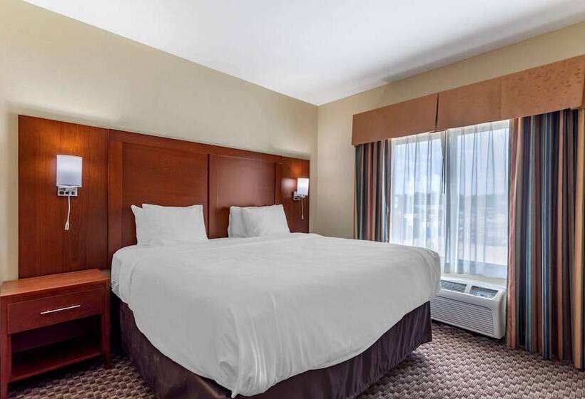 جناح, Comfort Inn & Suites Carbondale University Area