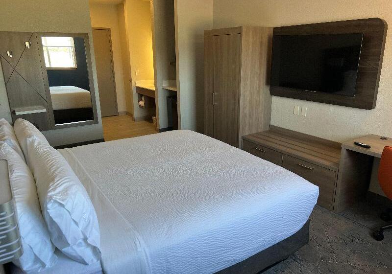 חדר סטנדרט עם מיטת קינג, Holiday Inn Express Wichita North   Park City By Ihg