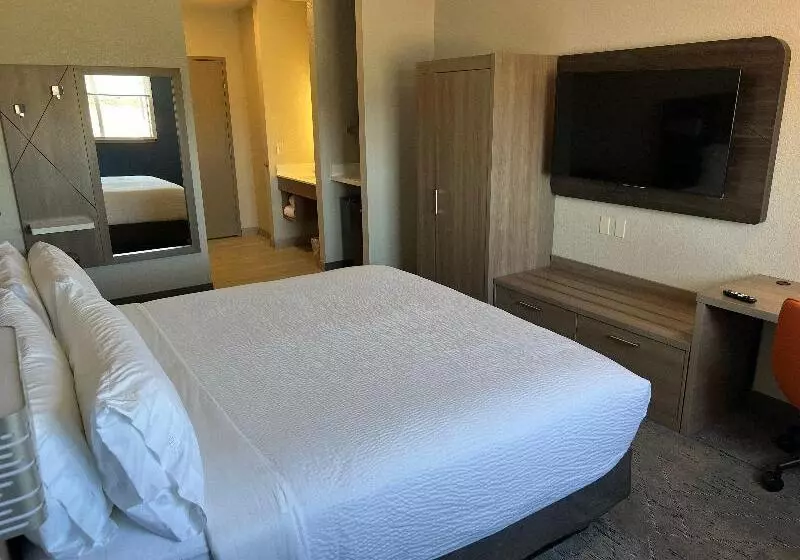 キングサイズベッドのスタンダードルーム, Holiday Inn Express Wichita North   Park City By Ihg