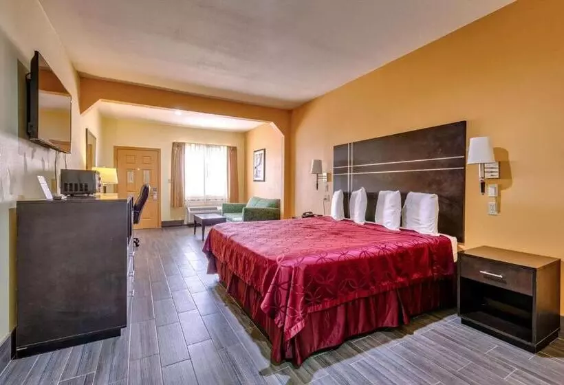 اتاق استاندارد با تخت بزرگ, Quality Inn