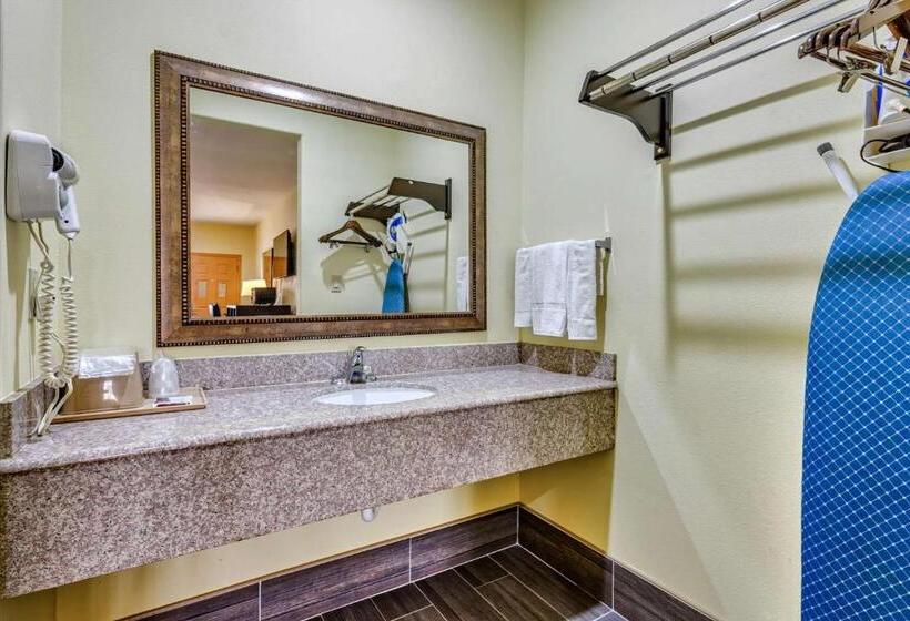 חדר סטנדרט עם מיטת קינג, Quality Inn