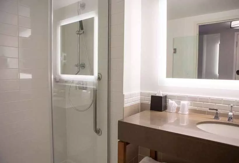 Deluxe Room, The Westin Austin At The Domain