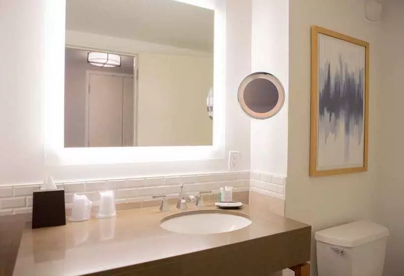 Deluxe Room, The Westin Austin At The Domain