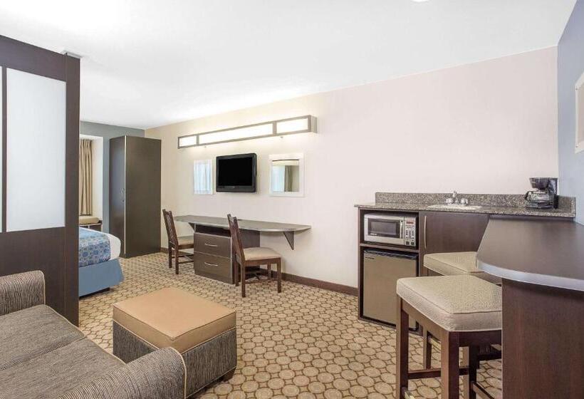 إستوديو قياسى, Microtel Inn And Suites San Angelo
