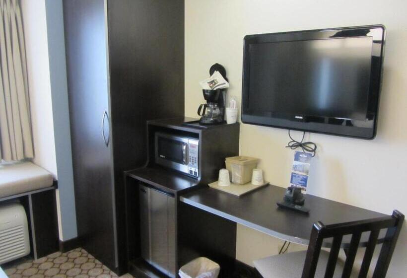 标准工作室, Microtel Inn And Suites San Angelo