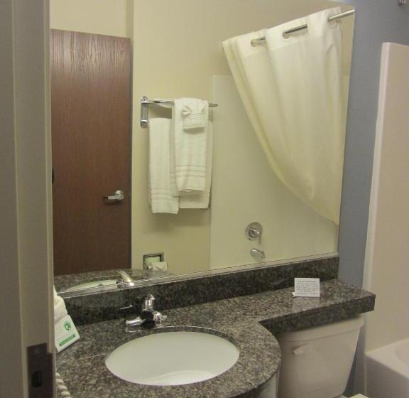 غرفة قياسية, Microtel Inn And Suites San Angelo