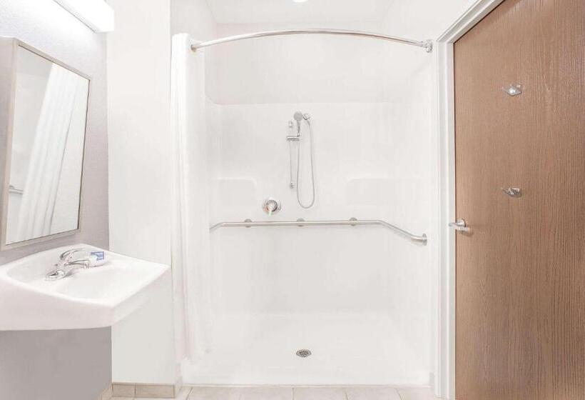 适合残疾人使用的标准间, Microtel Inn And Suites San Angelo