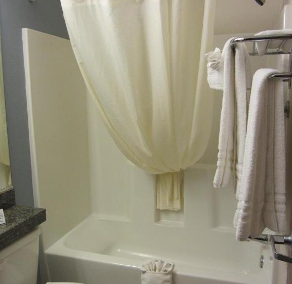 غرفة قياسية لذوى الاحتياجات الخاصة, Microtel Inn And Suites San Angelo