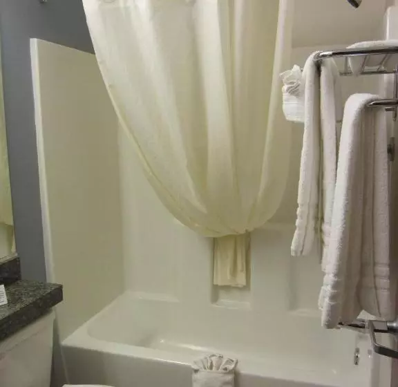 身障者適用スタンダードルーム, Microtel Inn And Suites San Angelo