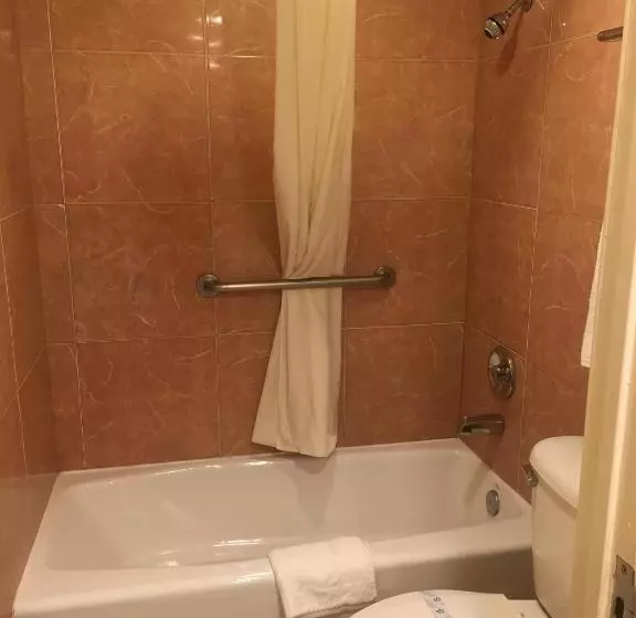 キングサイズベッドのスタンダードルーム, Budget Lodge San Bernardino