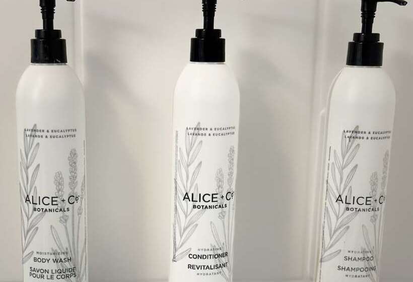 سوئیت 2 خوابه, Towneplace Suites By Marriott Scranton Wilkesbarre