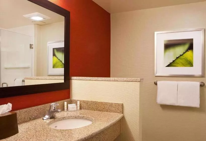 سوئیت با تخت بزرگ, Courtyard By Marriott Syracuse Downtown At Armory Square