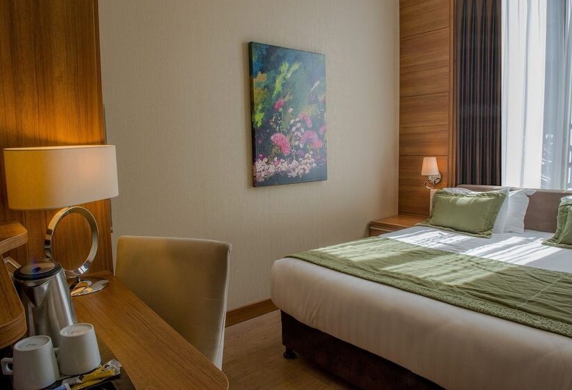 غرفة قياسية, Grand Hotel Downtown