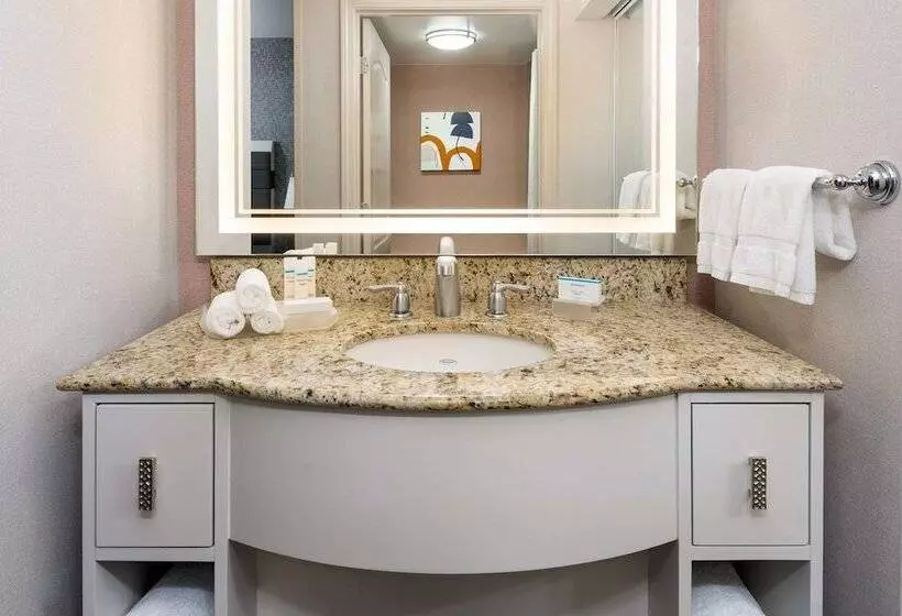 スイート, Homewood Suites By Hilton Boston/canton, Ma