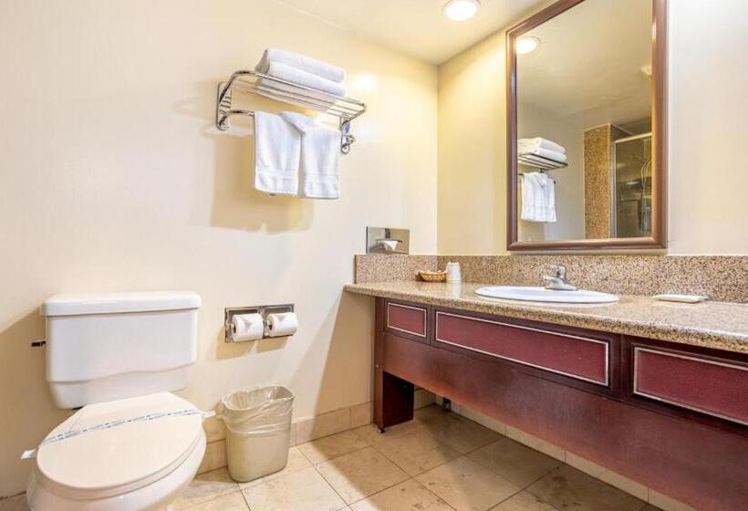 غرفة قياسية, Koxie