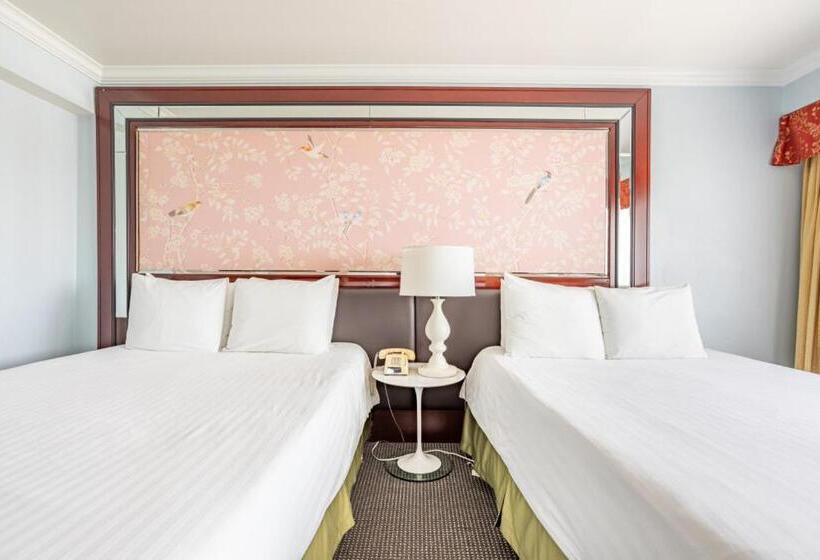 غرفة قياسية, Koxie