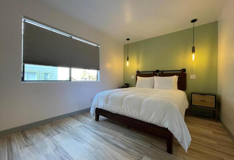 شقة غرفة واحدة, Koxie