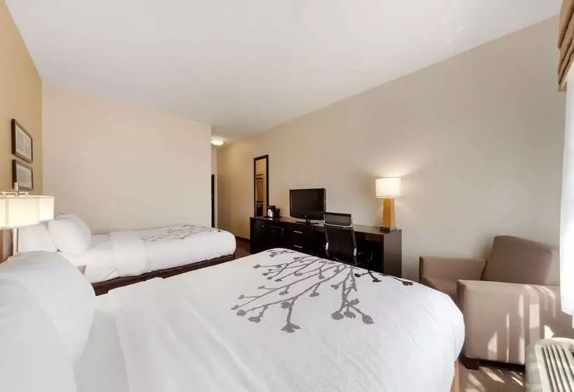 ２ダブルベッドのスタンダードルーム, Sleep Inn & Suites Bismarck I94