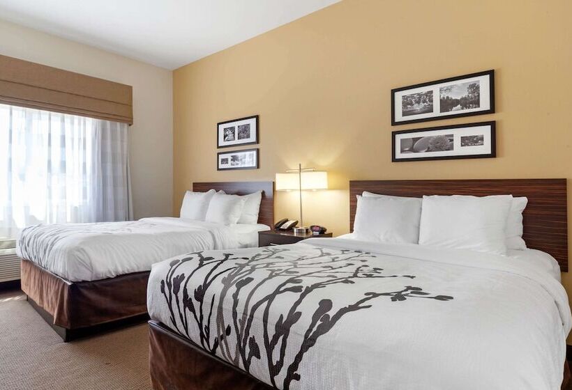 Номер Стандарт 2 Двуспальные Кровати, Sleep Inn & Suites Bismarck I94
