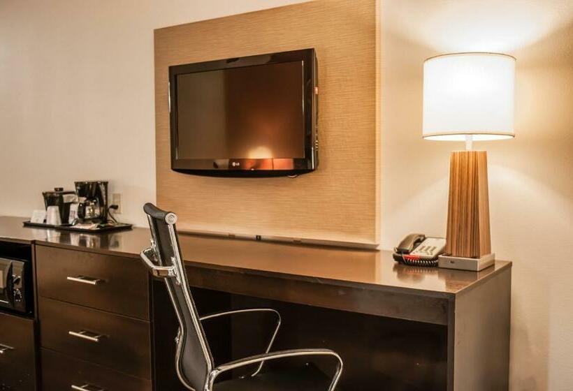 스탠다드 룸 킹사이즈 침대, Sleep Inn & Suites Fort Campbell