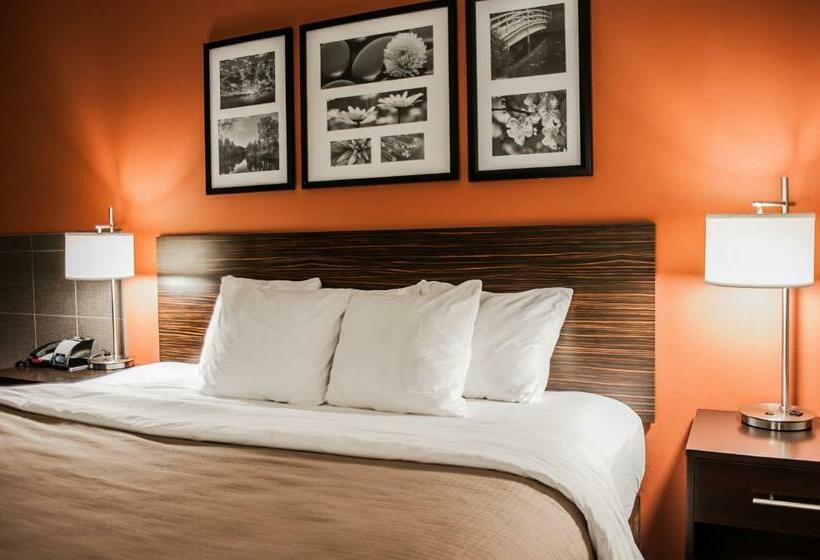 חדר סטנדרט עם מיטת קינג, Sleep Inn & Suites Fort Campbell