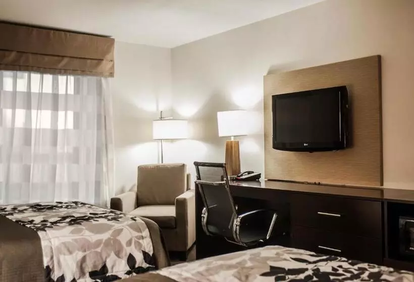 スタンダードルーム, Sleep Inn & Suites Fort Campbell