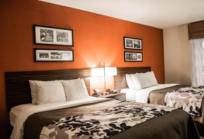 스탠다드 룸, Sleep Inn & Suites Fort Campbell