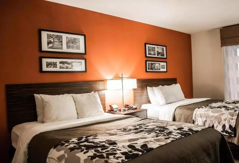 スタンダードルーム, Sleep Inn & Suites Fort Campbell
