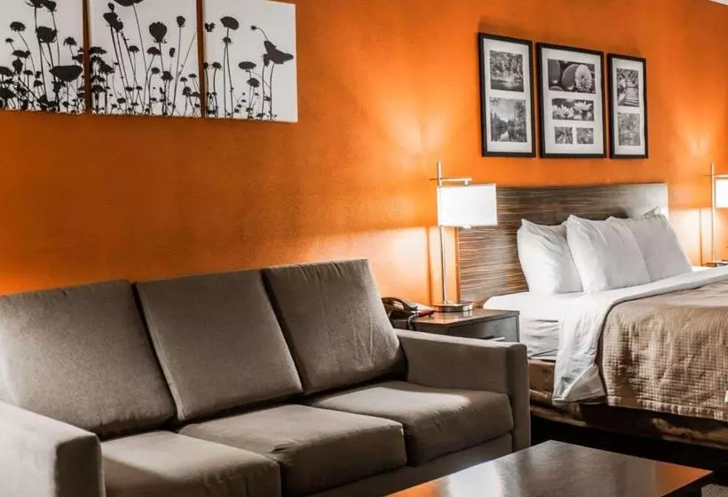 キングサイズベッドのスイートルーム, Sleep Inn & Suites Fort Campbell