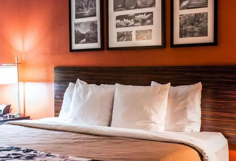 キングサイズベッドのスイートルーム, Sleep Inn & Suites Fort Campbell