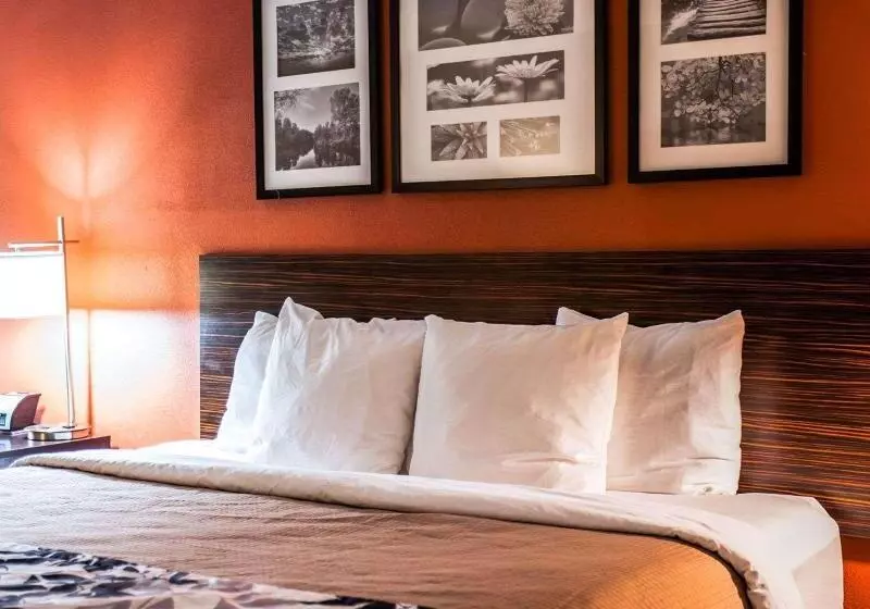 キングサイズベッドのスイートルーム, Sleep Inn & Suites Fort Campbell