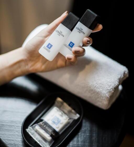 デラックススイート, Stayinn Barefoot Condesa   Hostel