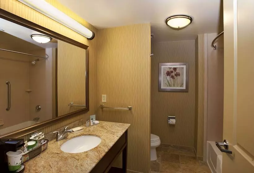 スタンダードルーム, Hampton Inn Marquette/waterfront