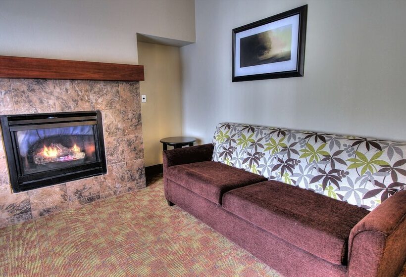 スタンダードルーム, Hampton Inn Pigeon Forge