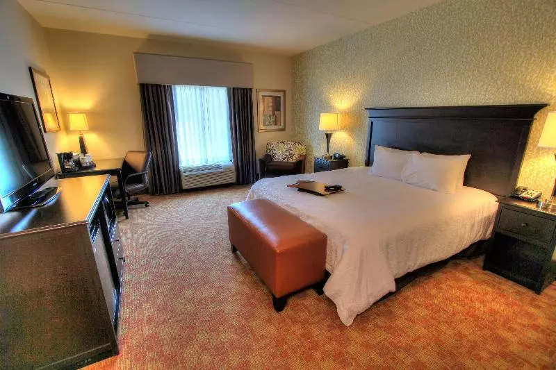 キングサイズベッドのスタンダードルーム, Hampton Inn Pigeon Forge