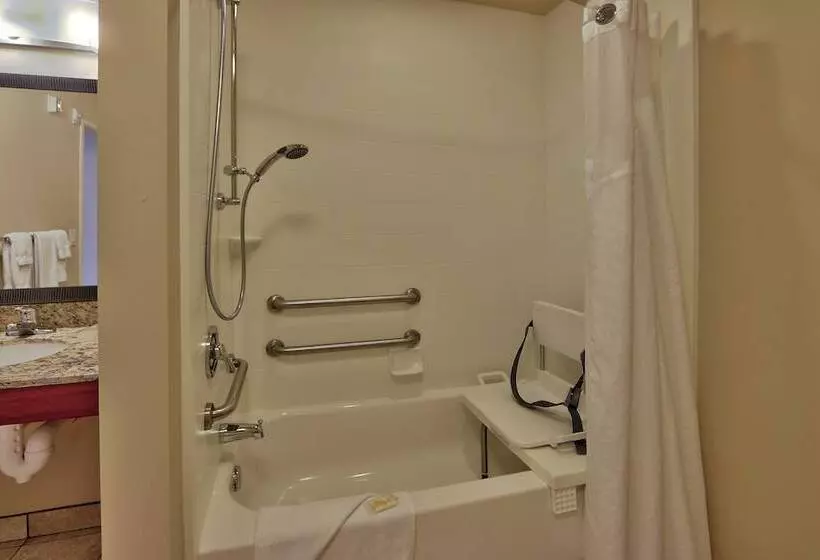 スタンダードルーム, Holiday Inn Roswell, An Ihg