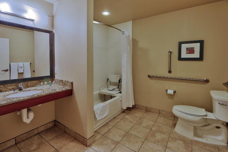 غرفة قياسية سرير كينج لذوى الإحتياجات الخاصة, Holiday Inn Roswell, An Ihg