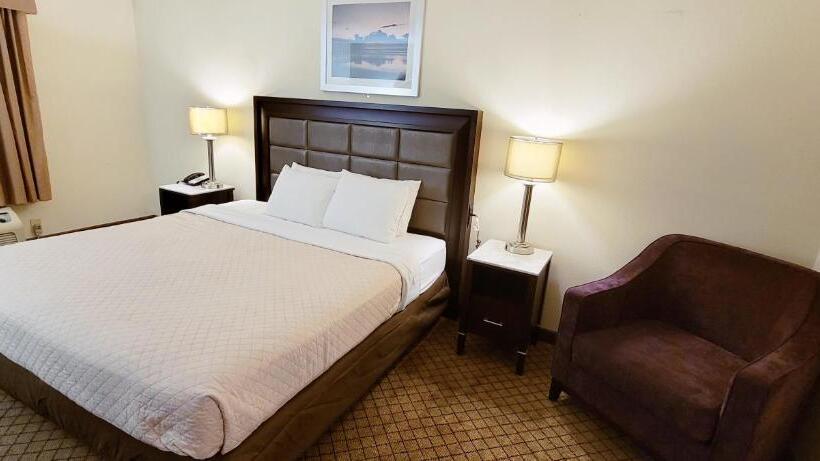 キングサイズベッドのスタンダードルーム, Home Inn & Suites
