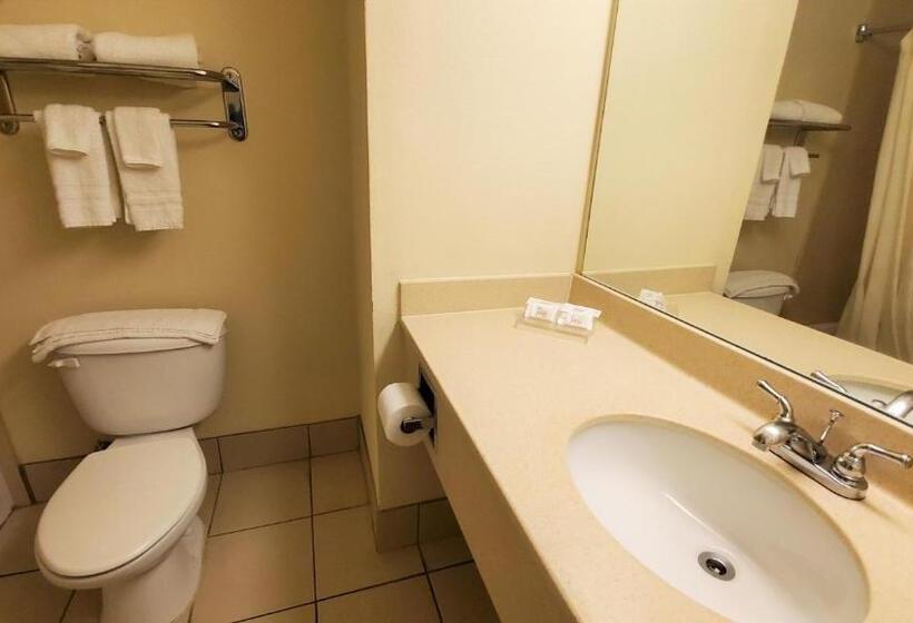 キングサイズベッドのスイートルーム, Home Inn & Suites