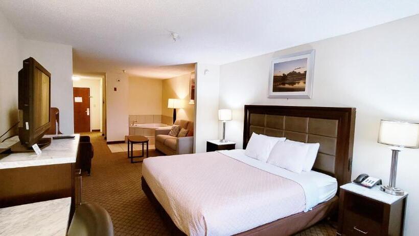 キングサイズベッドのスイートルーム, Home Inn & Suites