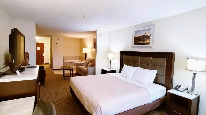 キングサイズベッドのスイートルーム, Home Inn & Suites