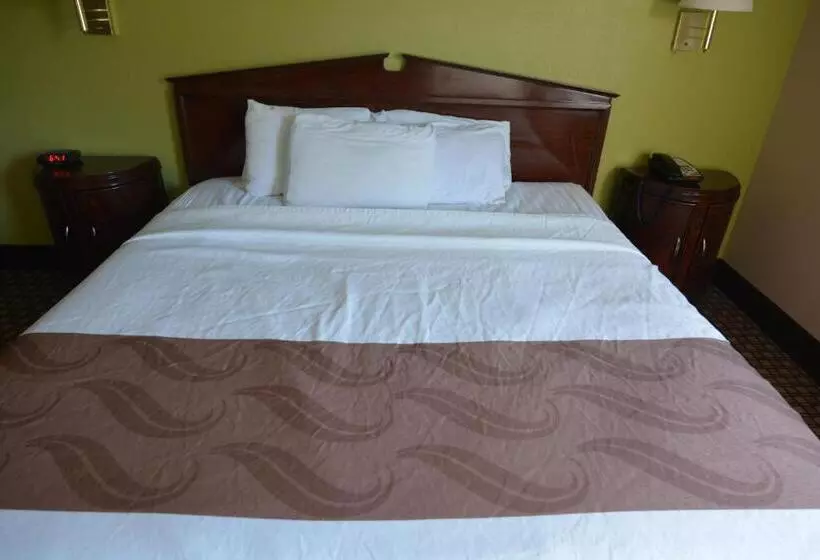 キングサイズベッドのスタンダードルーム, Jameson Inn And Suites Hazelhurst