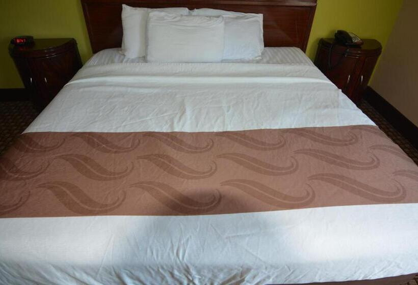 스탠다드 룸 킹사이즈 침대, Jameson Inn And Suites Hazelhurst