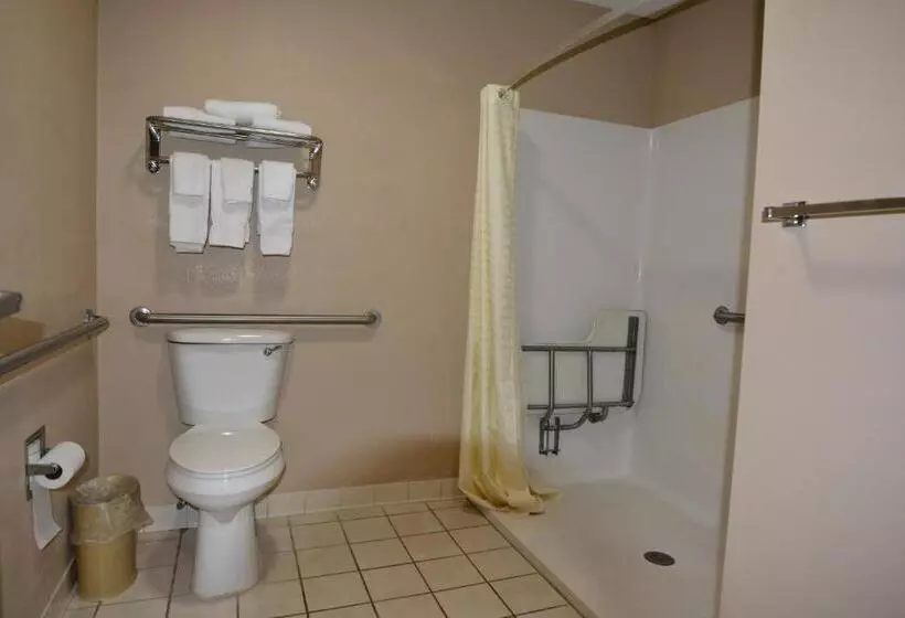 身障者適用キングサイズベッドルーム, Jameson Inn And Suites Hazelhurst
